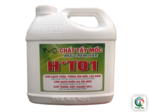 Tường bị nấm mốc