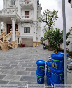 Sơn lót cao cấp LetsColor