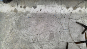 Ảnh hưởng của độ ẩm