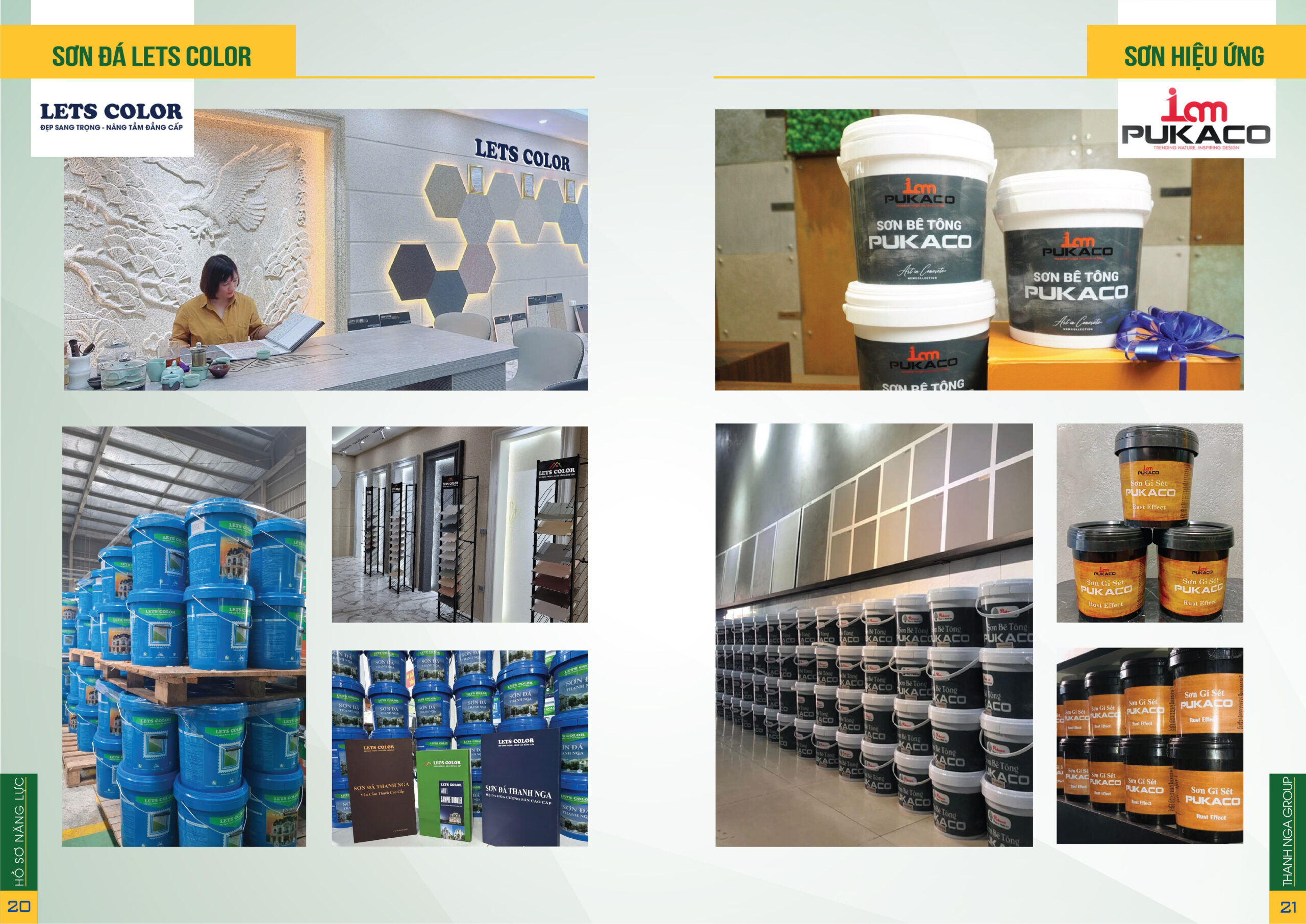 Hồ sơ năng lực Thanh Nga Paint
