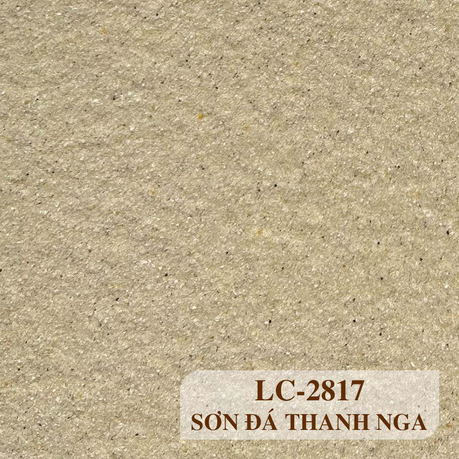 Màu 2817 - Sơn Đá Tự Nhiên - Sơn Đá Thanh Nga