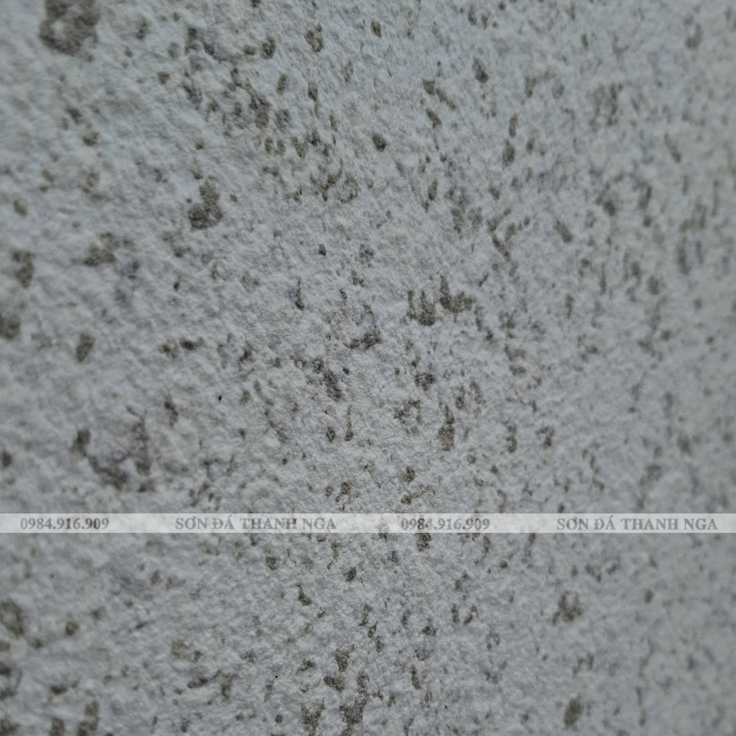 Sơn lót kháng kiềm trong suốt mới 01